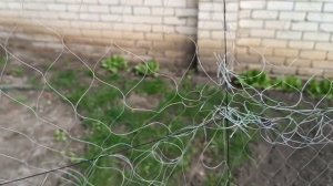 Экран рыболовный рамовый.