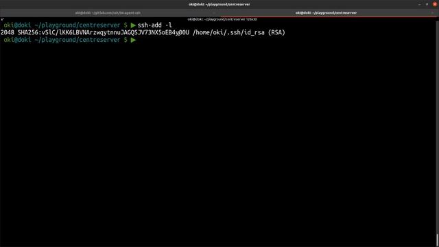 #SSH - 4. Agent SSH : trucs & astuces смотреть онлайн