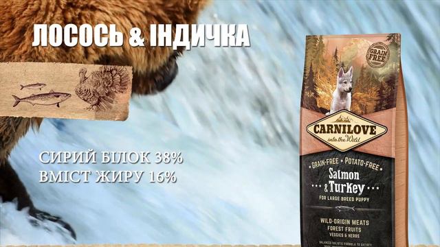 М'ясні раціони для собак CARNILOVE 🐺 смотреть онлайн