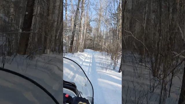 Вдвоем на Тайге СТ500д смотреть онлайн