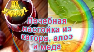 Лечебная настойка из кагора, алоэ и меда
