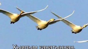 ИЛСӨЯ БӘДРЕТДИНОВА - «КЫР КАЗЛАРЫ АРТЫННАН»