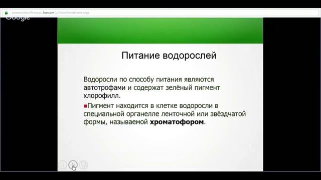 ЕГЭ по биологии 11 класс Занятие №16 Общая характеристика царства растений. Классификация растений смотреть онлайн