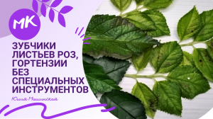 Мк зубчики листьев роз, гортензии без специальных инструментов