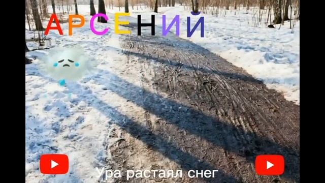 Поезд Гомель Хойники г. Гомель.