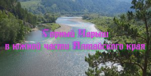 Привлекательная и неповторимая природа Алтая - Горный Чарыш