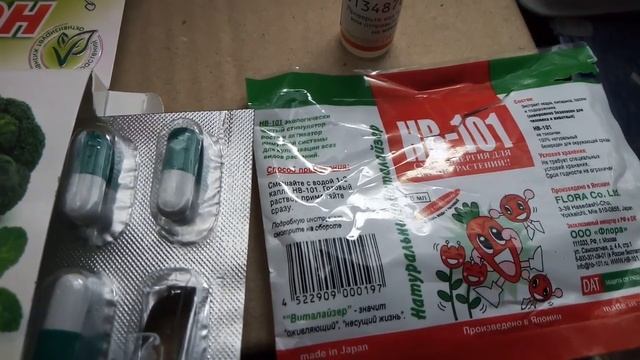 обзор эустомы (от посева 2 месяца) смотреть онлайн