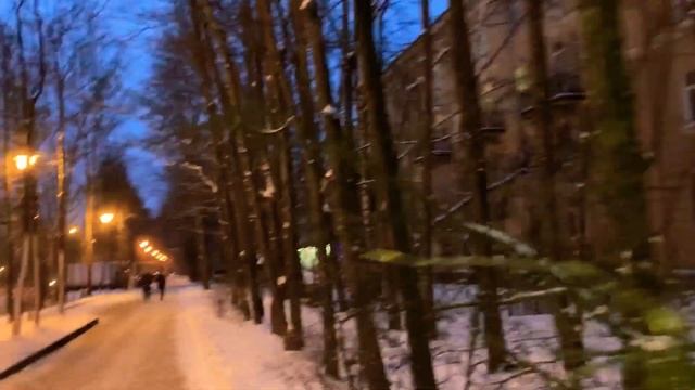 Всем зимней сказки и прекрасного вечера и отличного зимнего настроения вот такая Красота прогулка смотреть онлайн