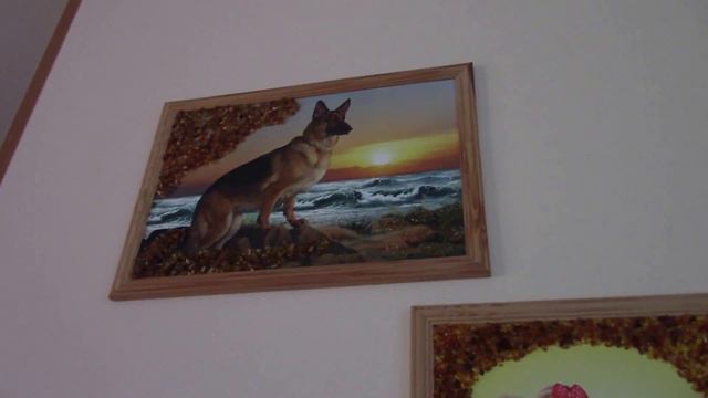 Милые собачки. смотреть онлайн