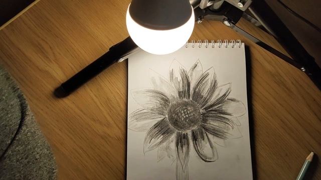 Как карандашом нарисовать подсолнух поэтапно для начинающих смотреть онлайн