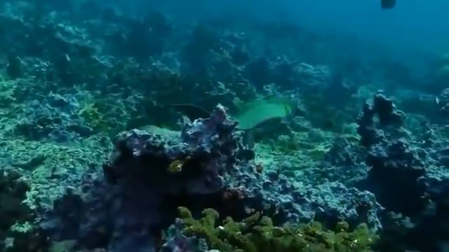 Один в Океане Слава Курилов Аудиокнига  Часть 1