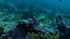 Один в Океане Слава Курилов Аудиокнига  Часть 1