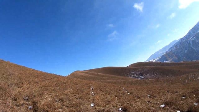 Одиночный выезд на охоту. Отличная охота на кеклика. Alone hunting Chukars in the mountains. Chukar смотреть онлайн