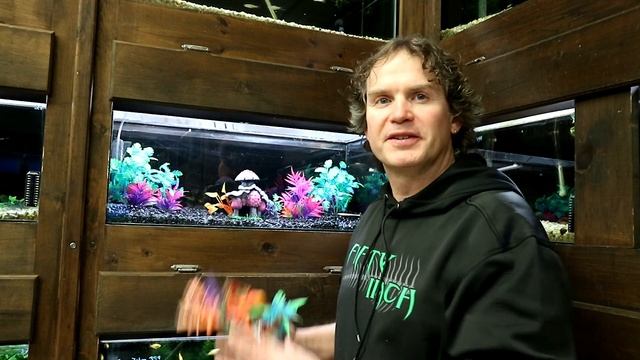 Glo Fish Aquarium - Tank Makeover Build for the Store смотреть онлайн