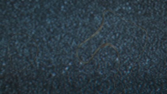 Node 4 of 4 Random Silhouette Ll3 #technology #video #sound #frequency смотреть онлайн
