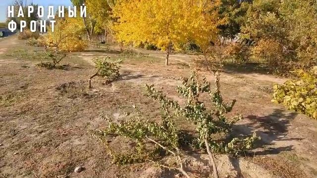 Деревья Красная Набережная смотреть онлайн