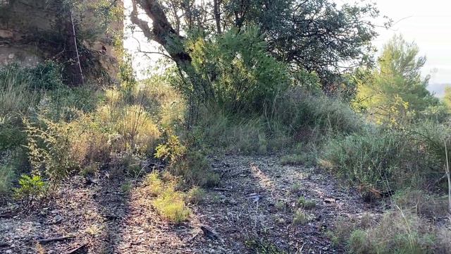 #34 Красотка Морайра • Как моюсь в пути • Места, которые облюбовали немцы и англичане смотреть онлайн