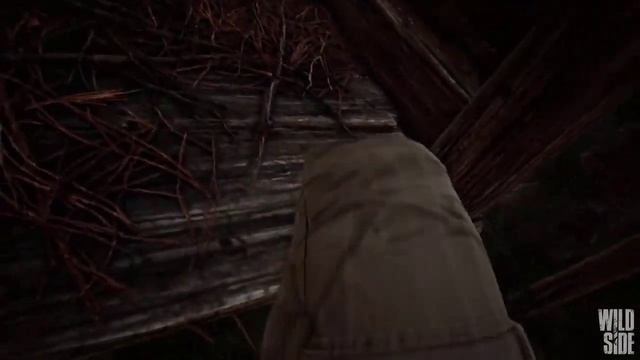 Wild Side The Game Official Trailer смотреть онлайн