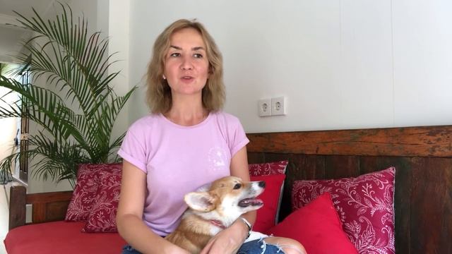 Где найти друзей для общения на английском. Английский для путешествий смотреть онлайн