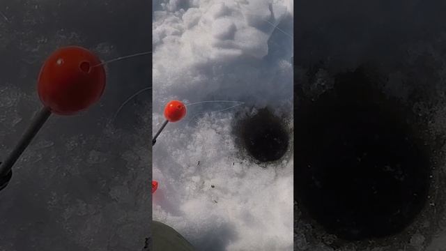 ДА ТУТ,СЕЛ ХОРОШИЙ ЛЕЩ! Ловля леща.#shorts #short #shortvideo #shortsvideo #ловлялеща смотреть онлайн