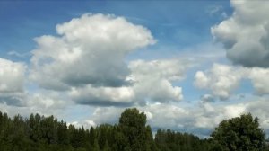 Нина Вараксина Облака(авт.)