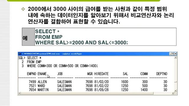8강 oracle 11g SQL 논리연산자, Between in(오라클) смотреть онлайн