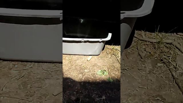 Battery Powered Fuel Pump смотреть онлайн