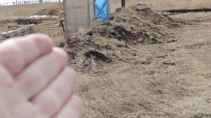 Сосед вредитель. 😡Он против наших поросят😯🐷Просит переделать ЛПХ в ИЖС-зачем?Часть-2