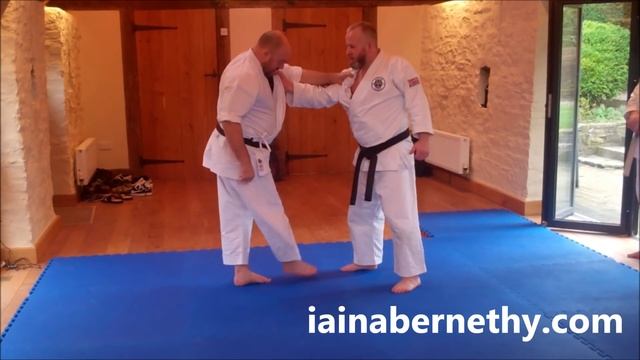 Practical Kata Bunkai: Funakoshi's Tani-Otoshi Throw смотреть онлайн