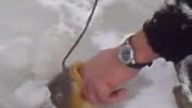 Рыбалка зимой . р.Свияга (г.Ульяновск) .3gp смотреть онлайн