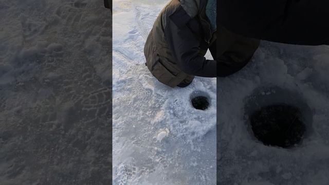 Озернинское водохранилище , первый лед.Щука на жерлицу 1.7 кг смотреть онлайн