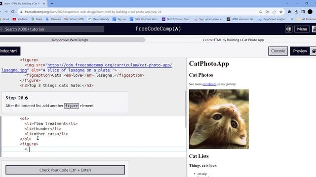 Learn HTML by Building a Cat Photo App Step - 28 смотреть онлайн