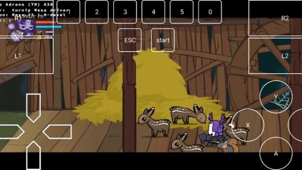 Castle Crashers /Android/DXVK