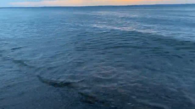 Немного моря на Каме 20230530 смотреть онлайн