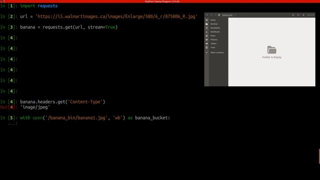 Python / Requests - Download Files - Picking bannas or any other fruit смотреть онлайн
