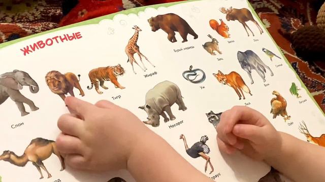 Катя читает книгу с мамой. Учим животных, цвета, фигуры.