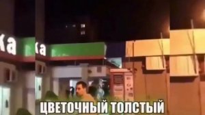 Цветочный, толстый, сиськастый бит