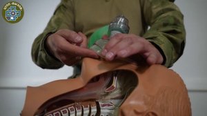 Амбушка. Дыхательный мешок.