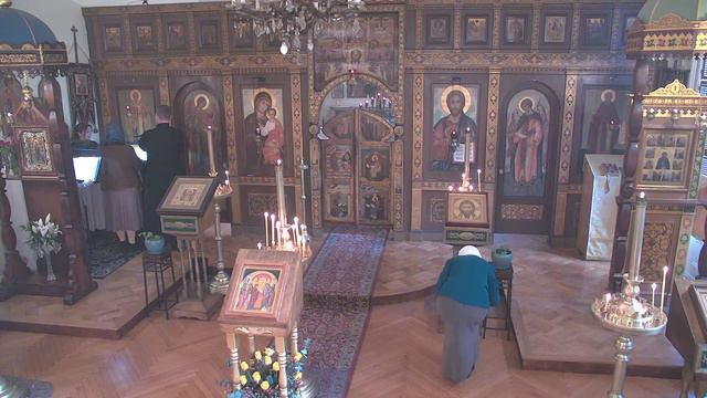 Feb 15, 2024, Meeting of the Lord, Matins and Liturgy смотреть онлайн