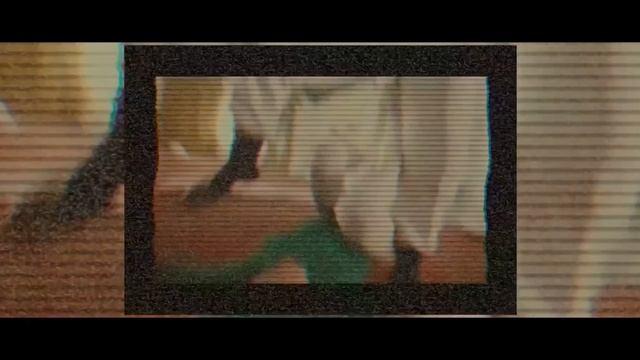Retro X - Python смотреть онлайн