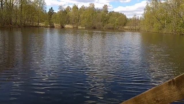 Деханова О.А. Отражение ольфакторной культуры XIX века в произведениях Ф.М. Достоевского. Часть 1 смотреть онлайн
