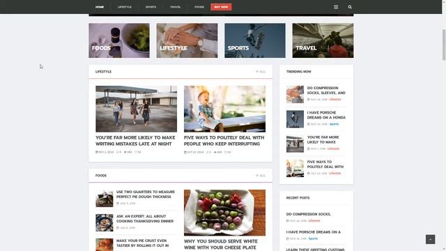 MagWiz - Multipurpose WordPress Magazine and Blogging theme Pa смотреть онлайн