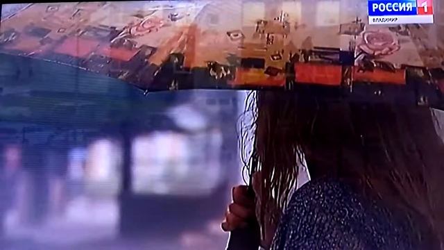 Город Александров "шквалистый ветер снёс остановку" 30.05.19г смотреть онлайн