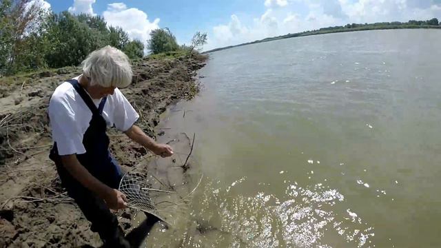 Щука на снасточку смотреть онлайн
