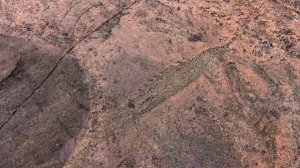 Бесов нос. Кто оставил онежские петроглифы.