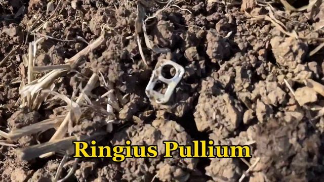 Deus 1 Vs Deus 2 Vs Legend Vs Nox 800 •  The Best Finds Are Friends For Life #megacollab