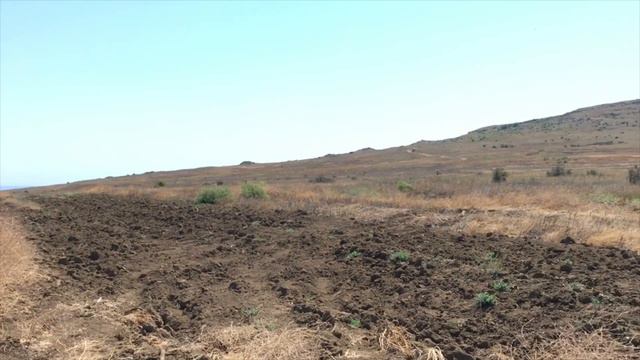 ГОРА ОПУК / МИФЫ ЛЕГЕНДЫ ИЛИ ПРАВДА / ОТДЫХ В КРЫМУ / ОПУКСКИЙ ЗАПОВЕДНИК / КОЯШСКОЕ ОЗЕРО смотреть онлайн