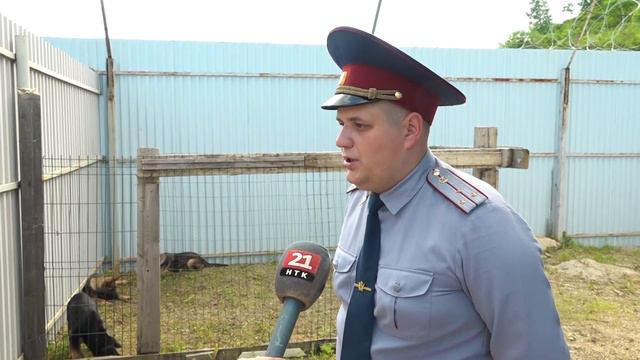 Три племенных щенка полнили ряды кинологической службы регионального УФСИН по ЕАО смотреть онлайн
