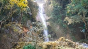 Александр Пушкин "Цветы последние милей" стихи