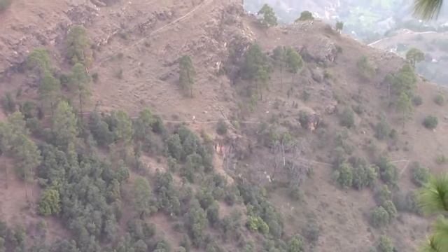 Практика "Шар Любви" в исполнении Лолы смотреть онлайн